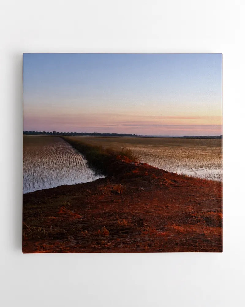 Dusk Over Rice Fields - Photography by Erick
