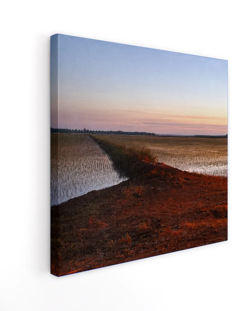 Dusk Over Rice Fields - Photography by Erick