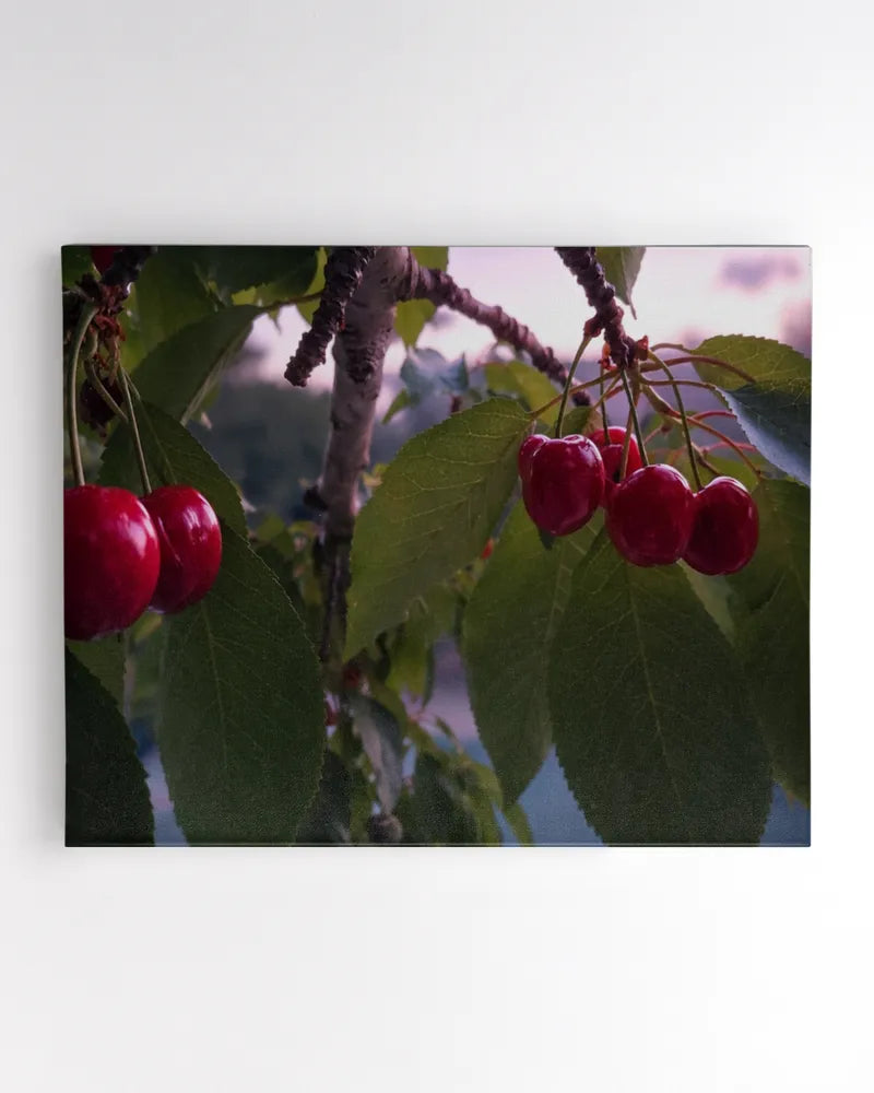 Produce of life - Photography by Erick