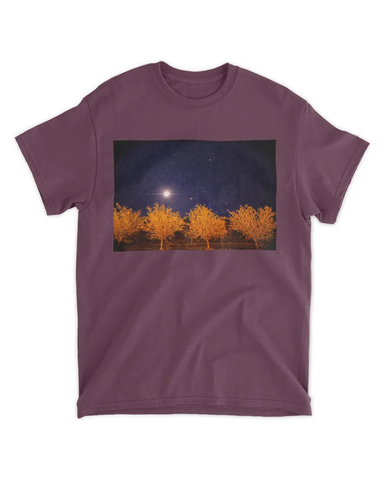 Orchard Sky - Photography by Erick