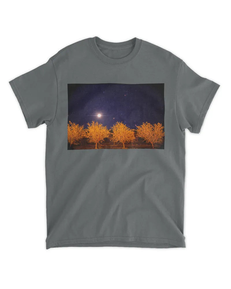 Orchard Sky - Photography by Erick