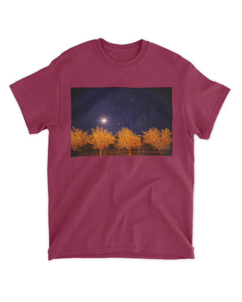 Orchard Sky - Photography by Erick