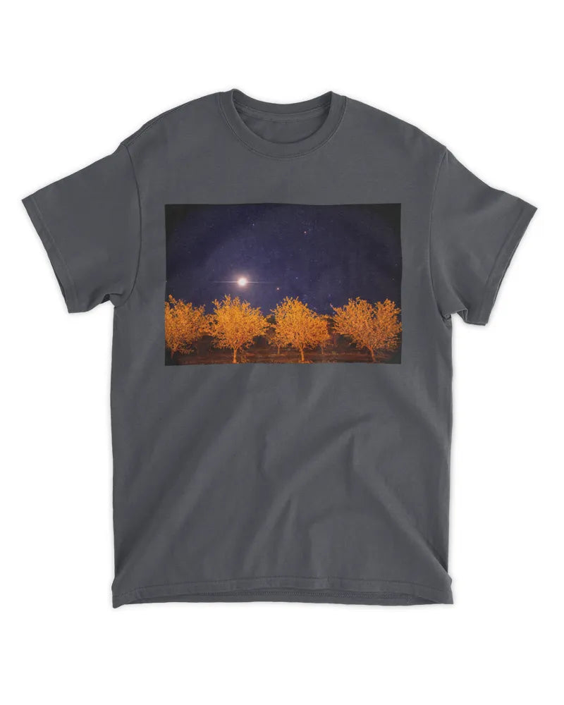 Orchard Sky - Photography by Erick