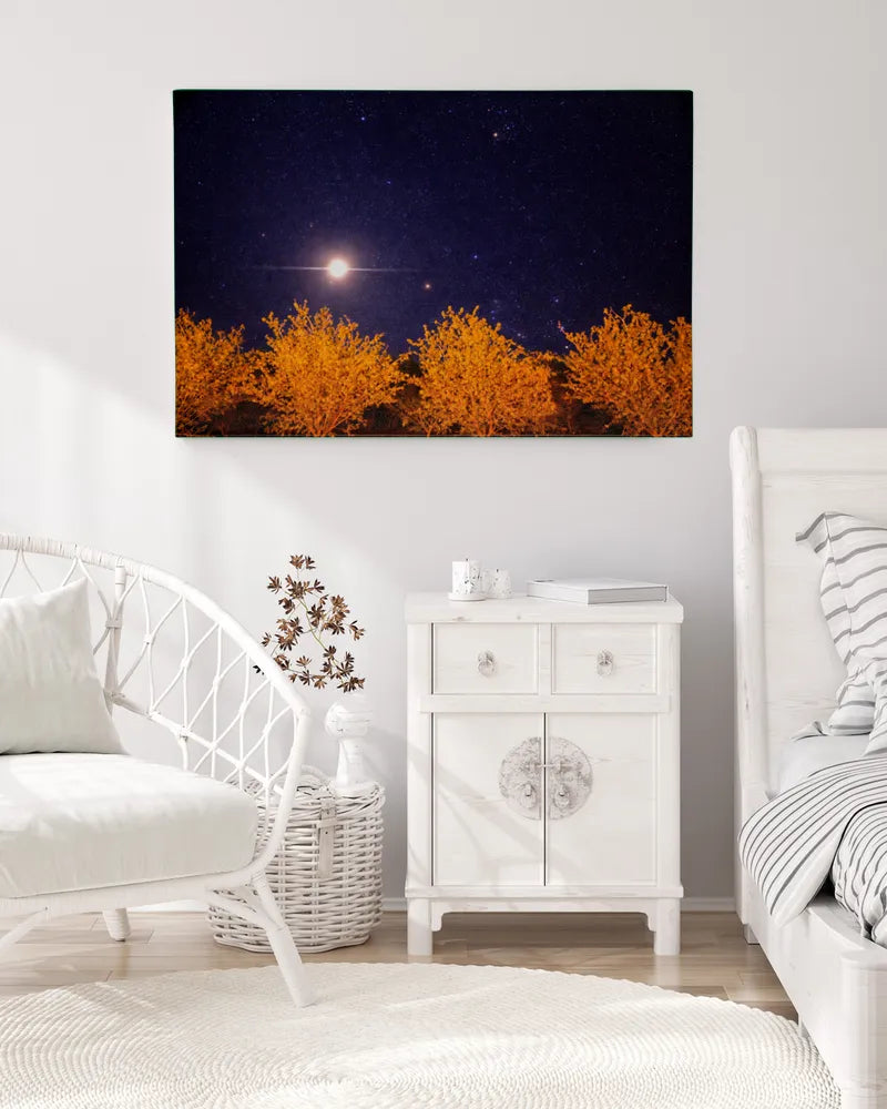 Orchard Sky - Photography by Erick