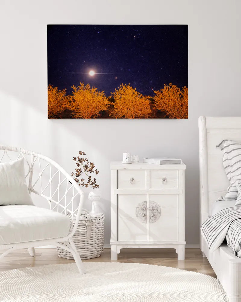 Orchard Sky - Photography by Erick