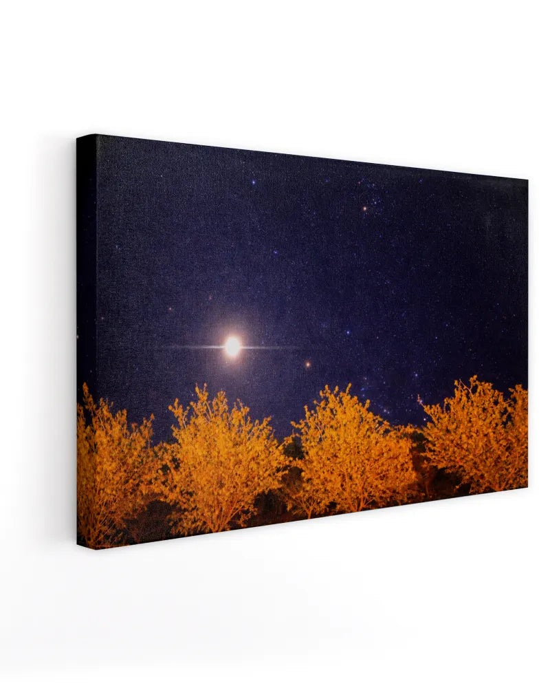 Orchard Sky - Photography by Erick