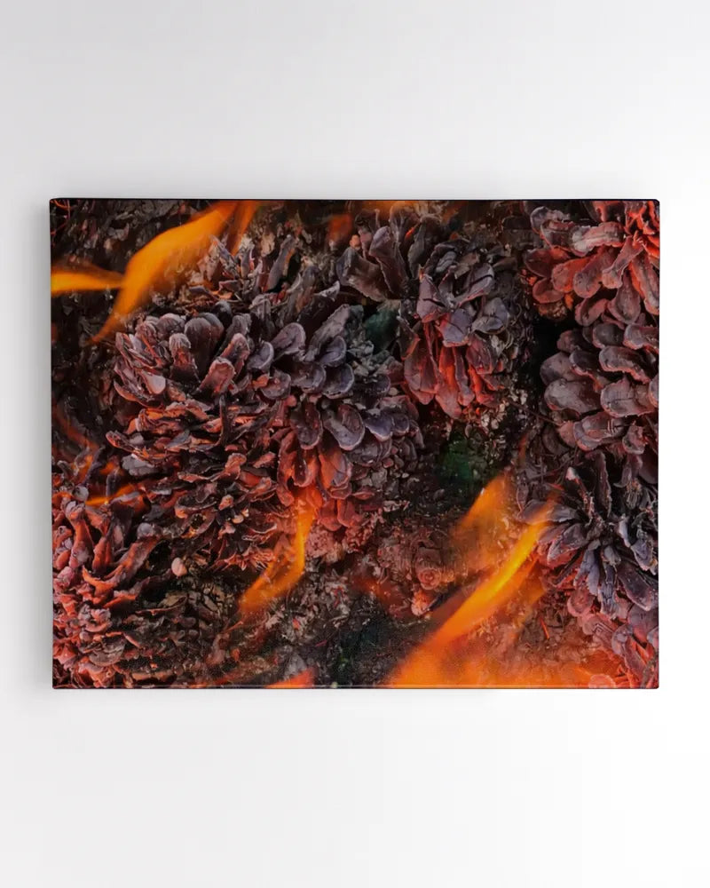 Forest Fire - Photography by Erick