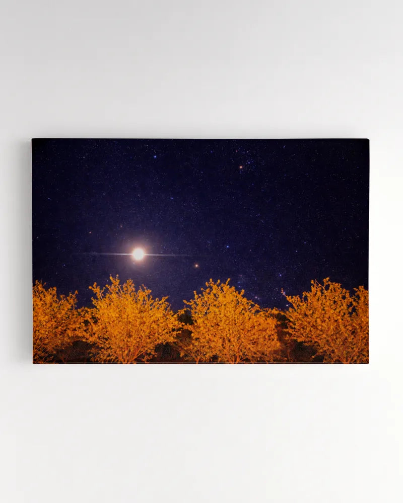 Orchard Sky - Photography by Erick