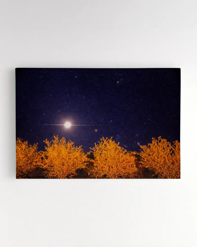 Orchard Sky - Photography by Erick