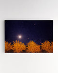 Orchard Sky - Photography by Erick