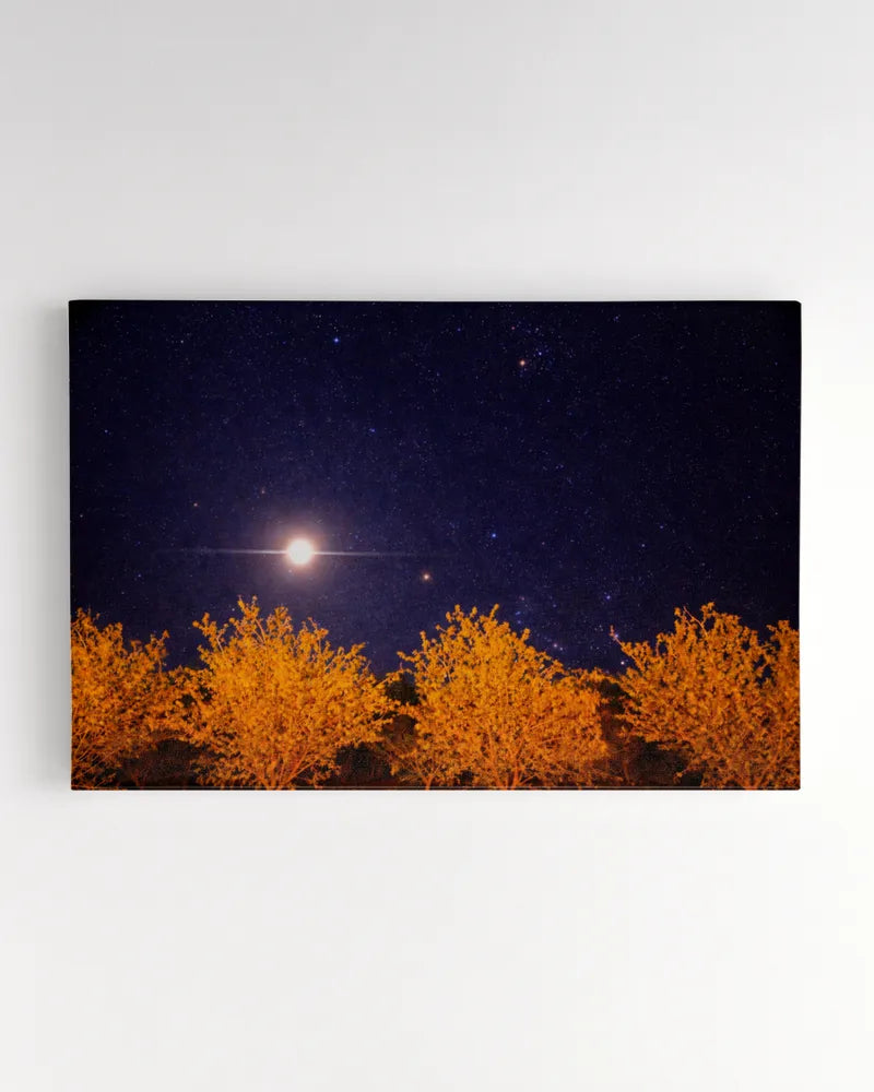 Orchard Sky - Photography by Erick